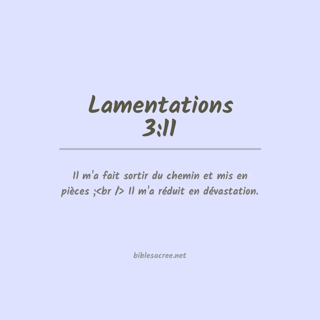 Lamentations - 3:11