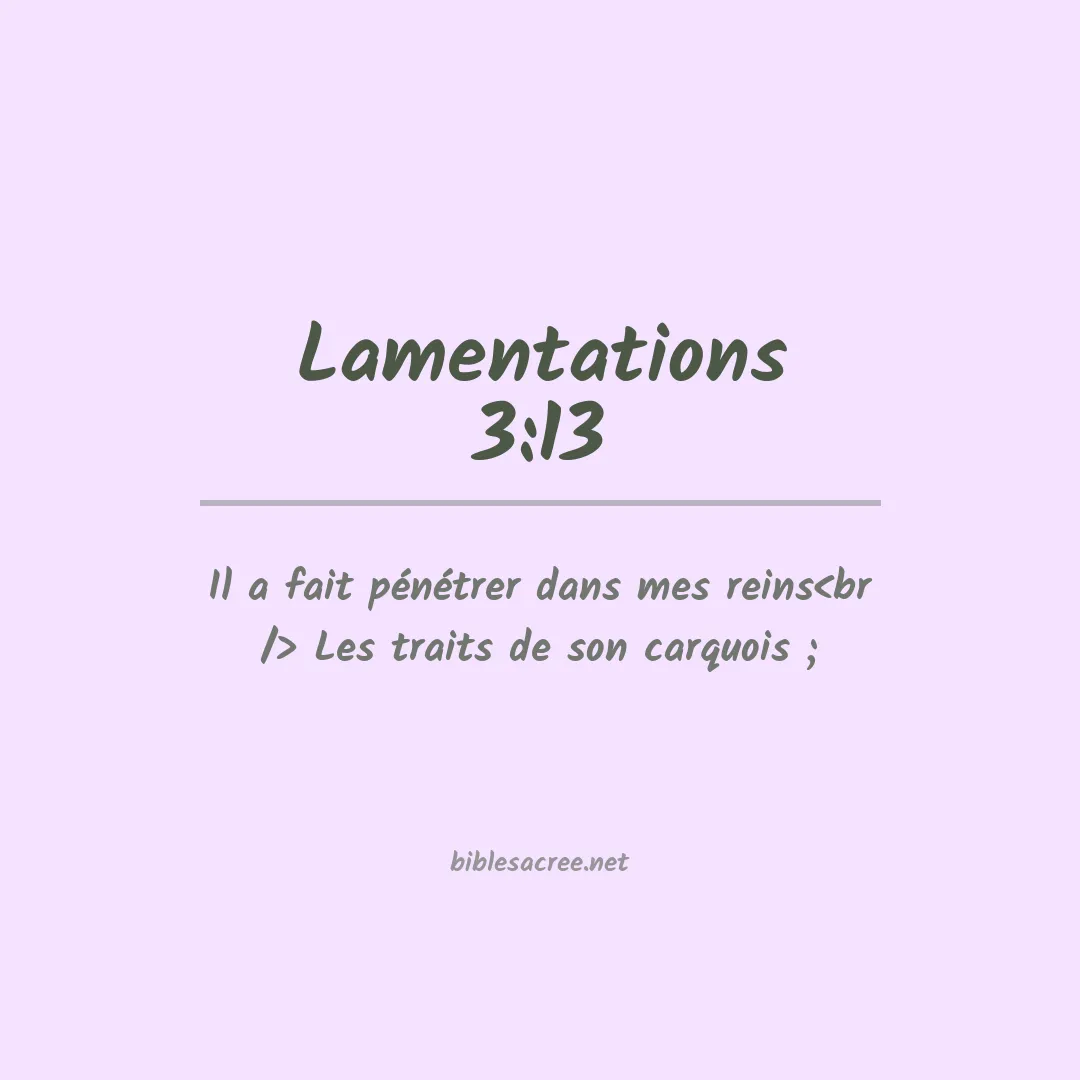 Lamentations - 3:13