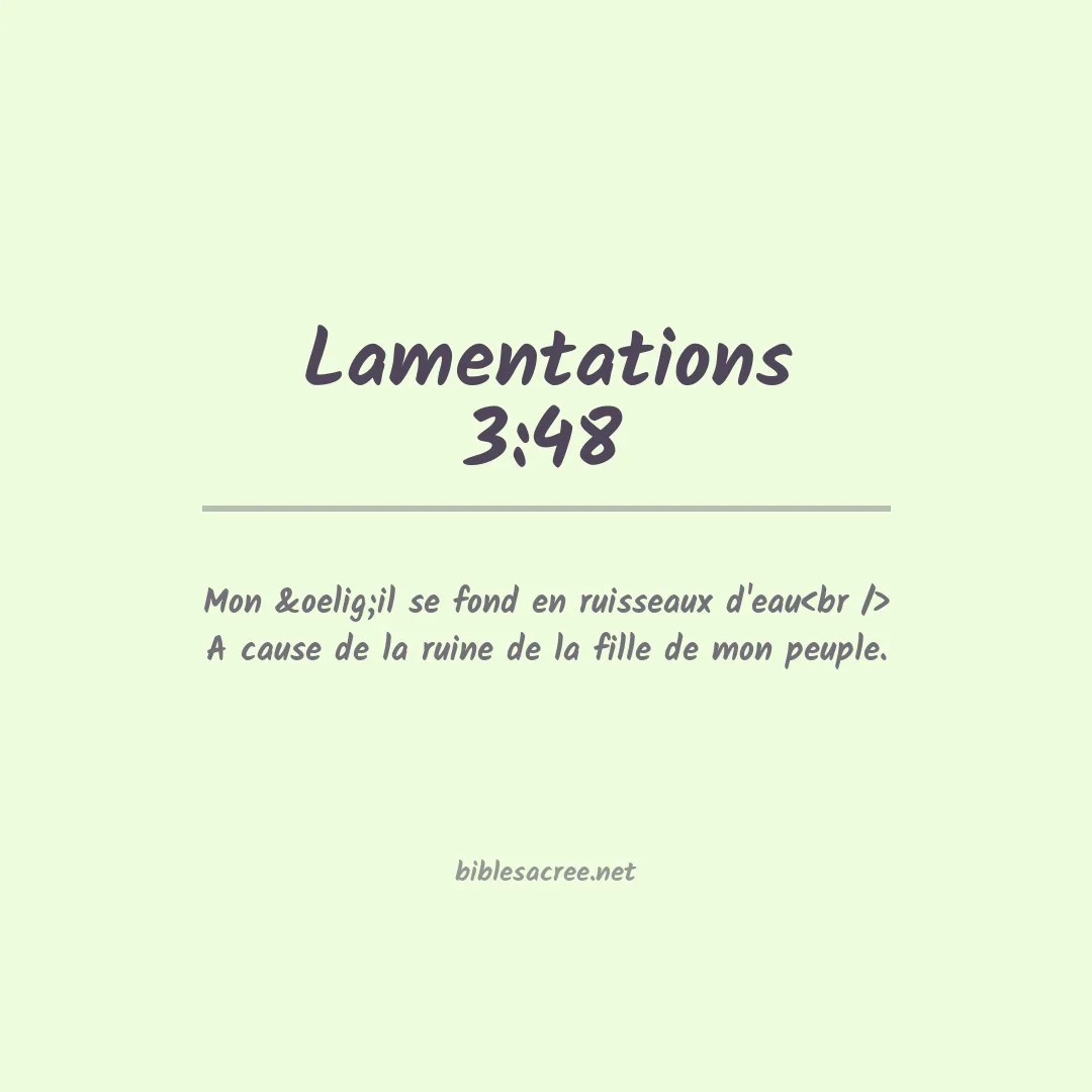 Lamentations - 3:48