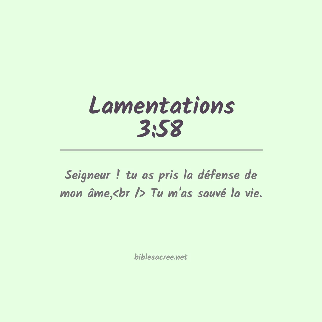 Lamentations - 3:58
