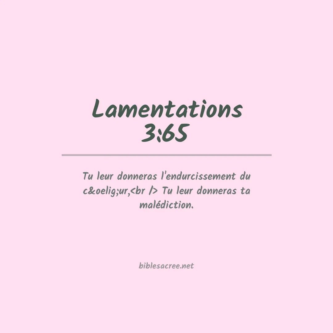 Lamentations - 3:65