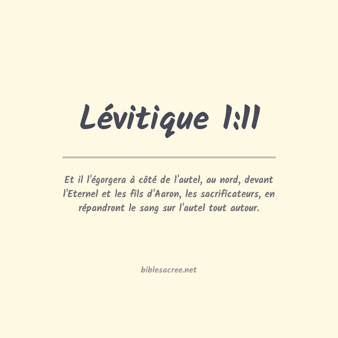 Lévitique - 1:11