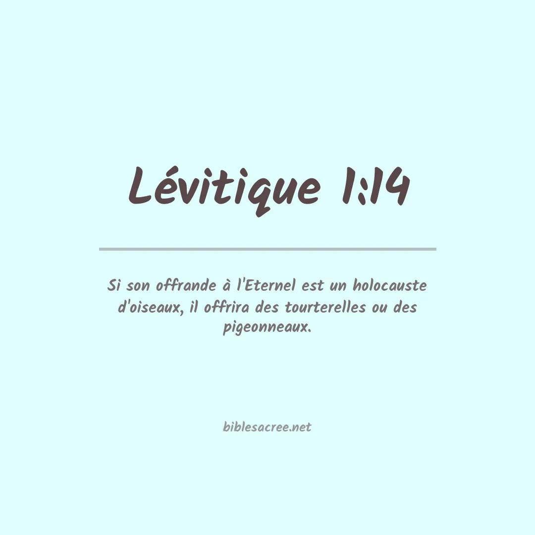 Lévitique - 1:14