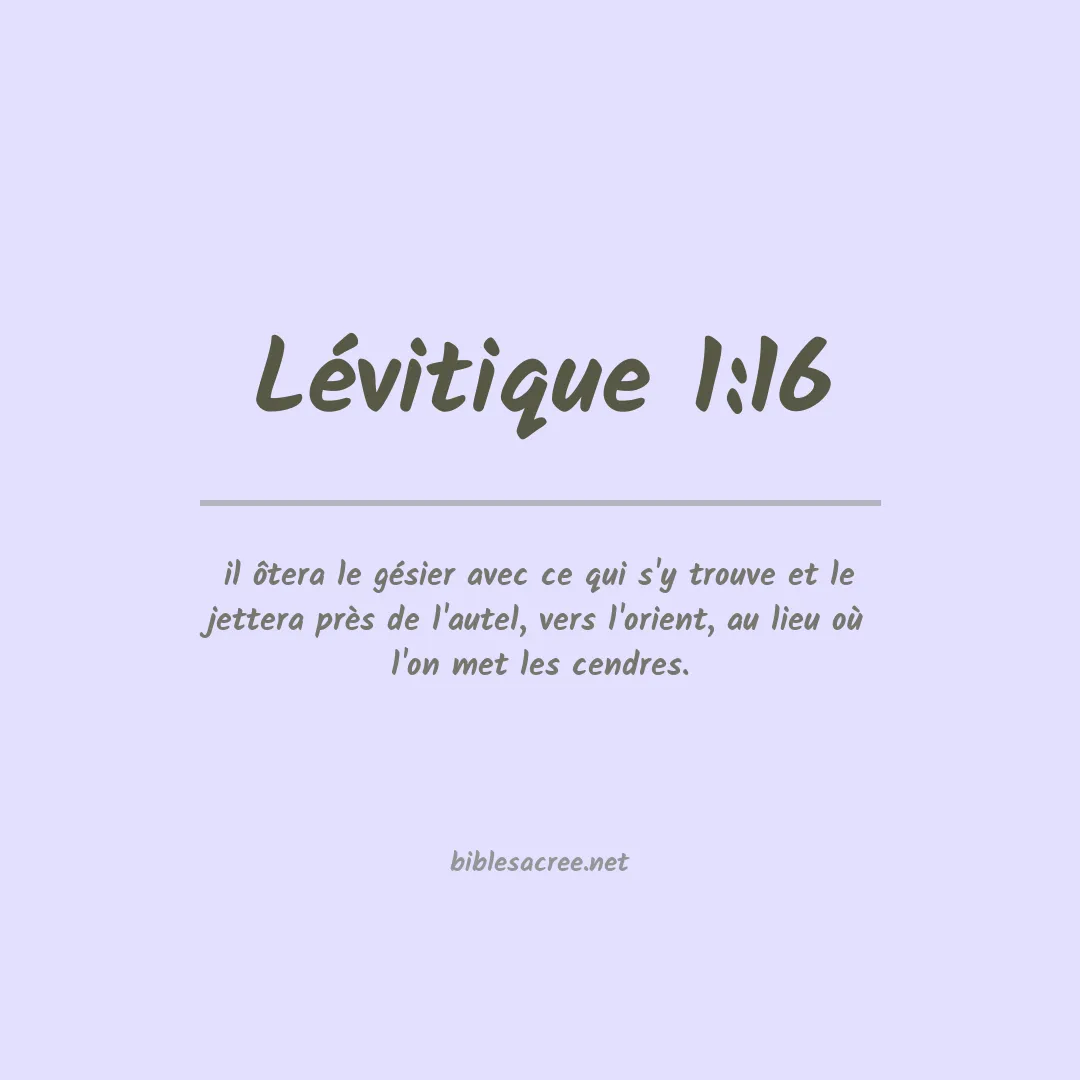 Lévitique - 1:16
