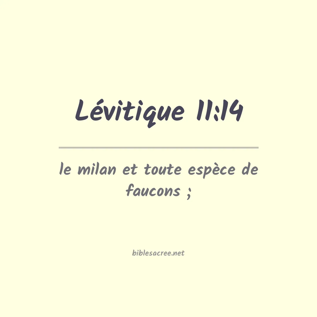 Lévitique - 11:14