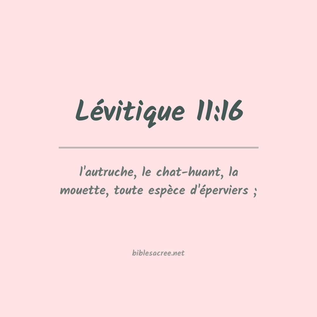 Lévitique - 11:16
