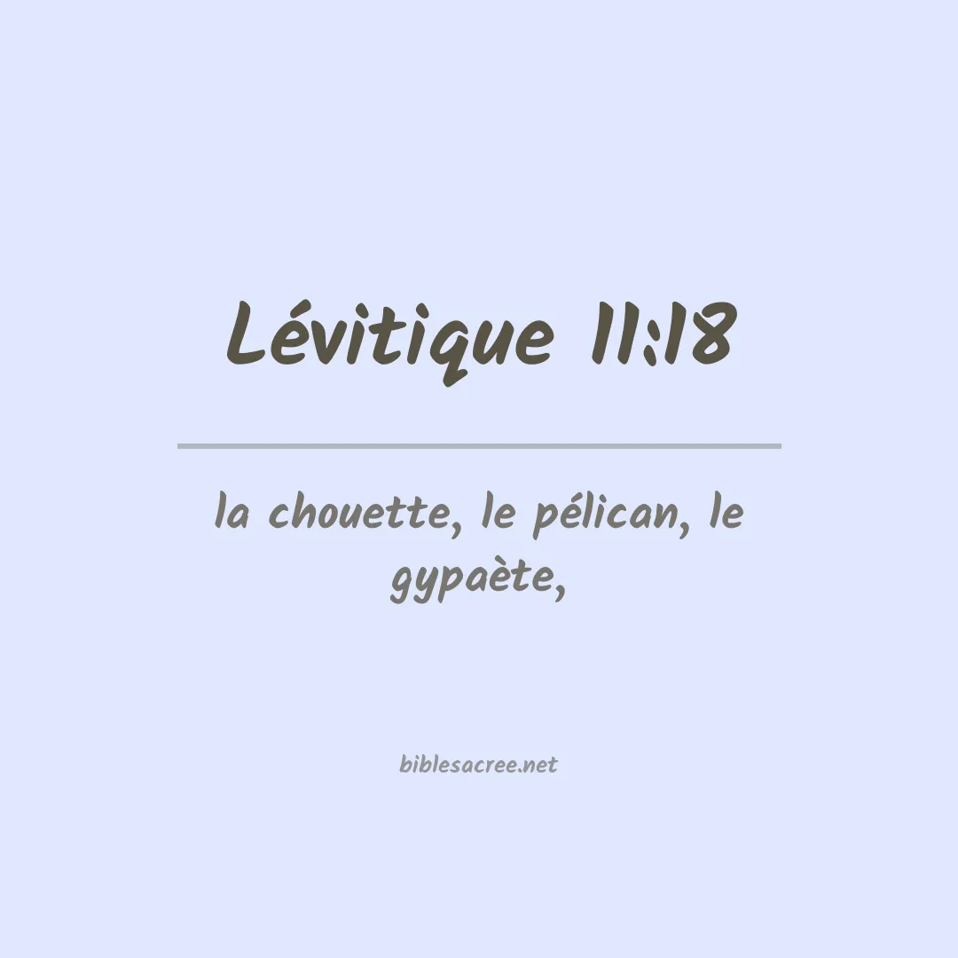 Lévitique - 11:18