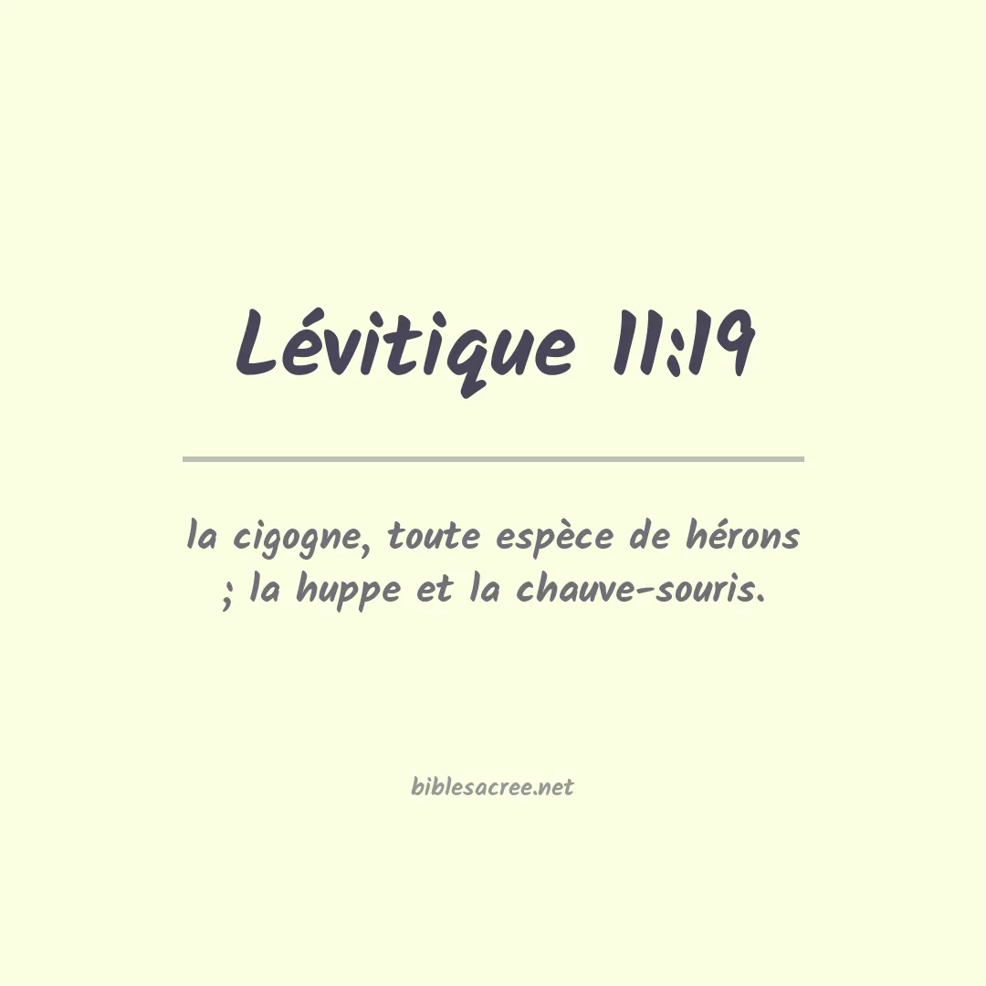Lévitique - 11:19