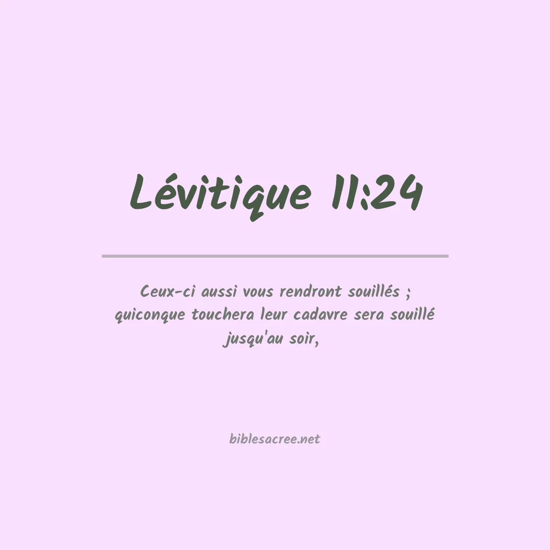 Lévitique - 11:24