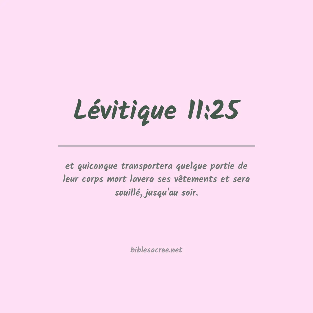Lévitique - 11:25
