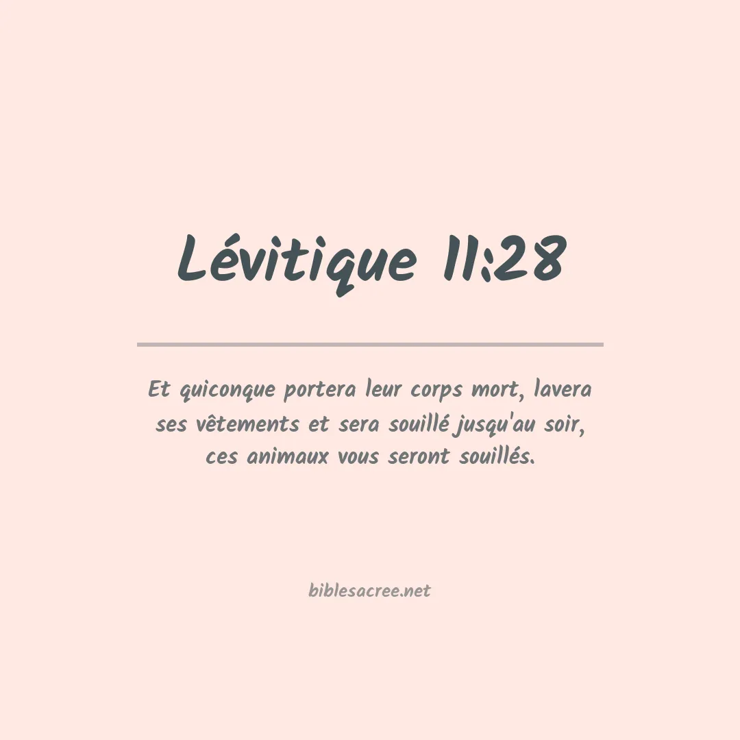 Lévitique - 11:28