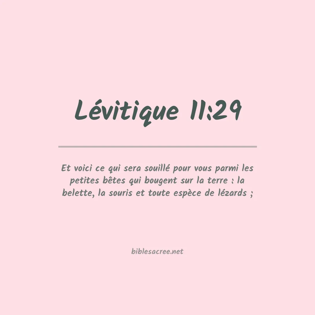 Lévitique - 11:29