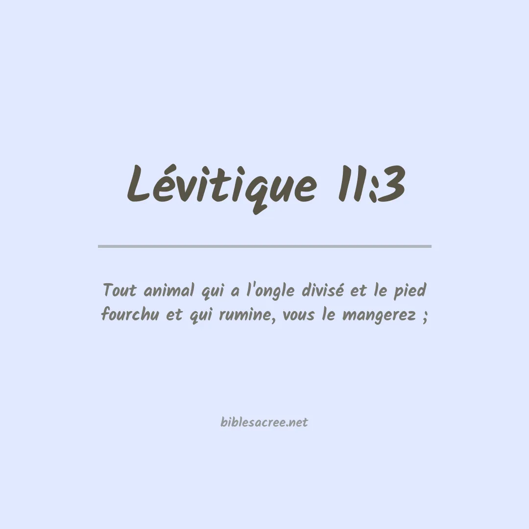 Lévitique - 11:3