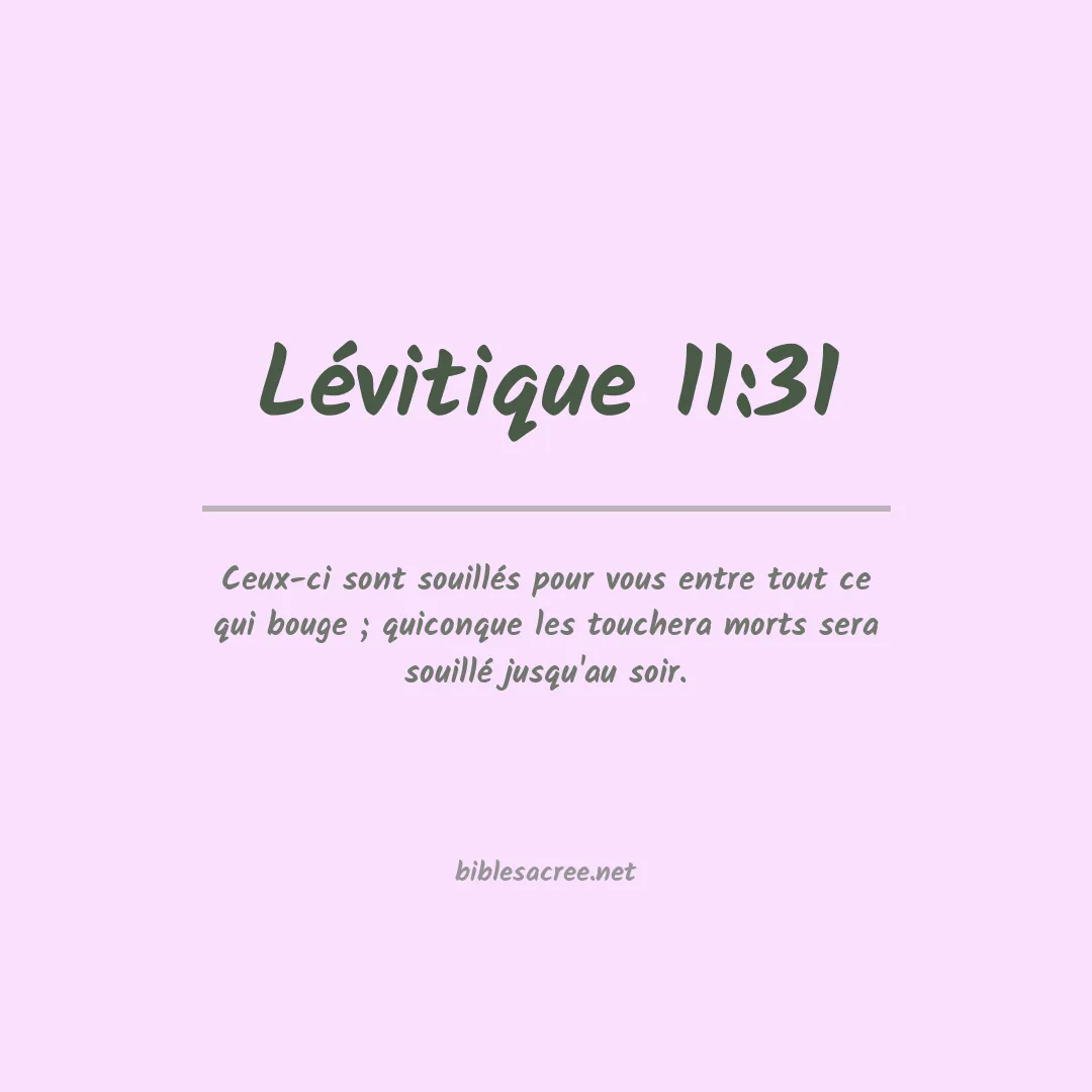 Lévitique - 11:31