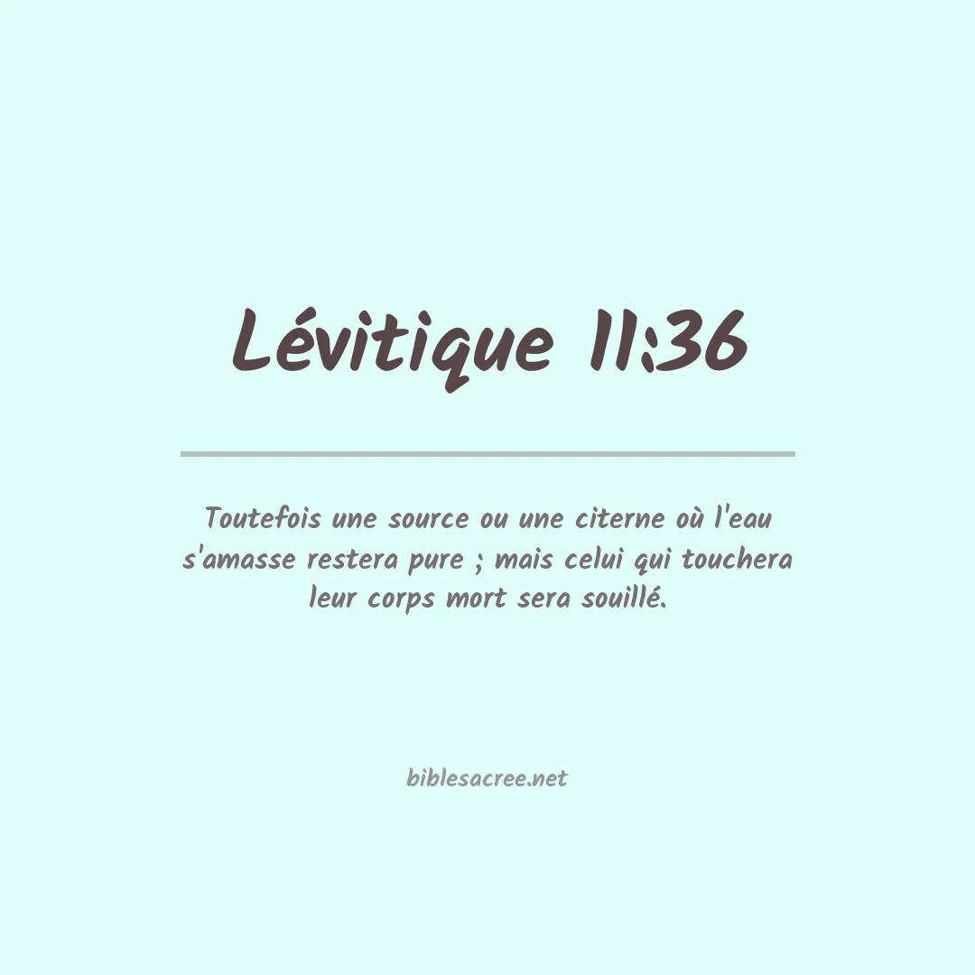 Lévitique - 11:36