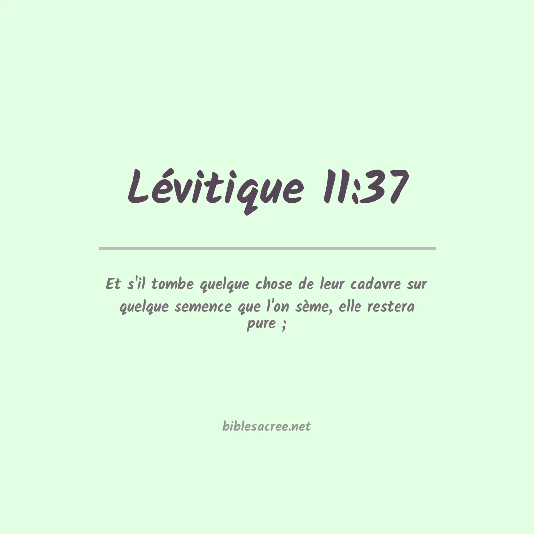 Lévitique - 11:37