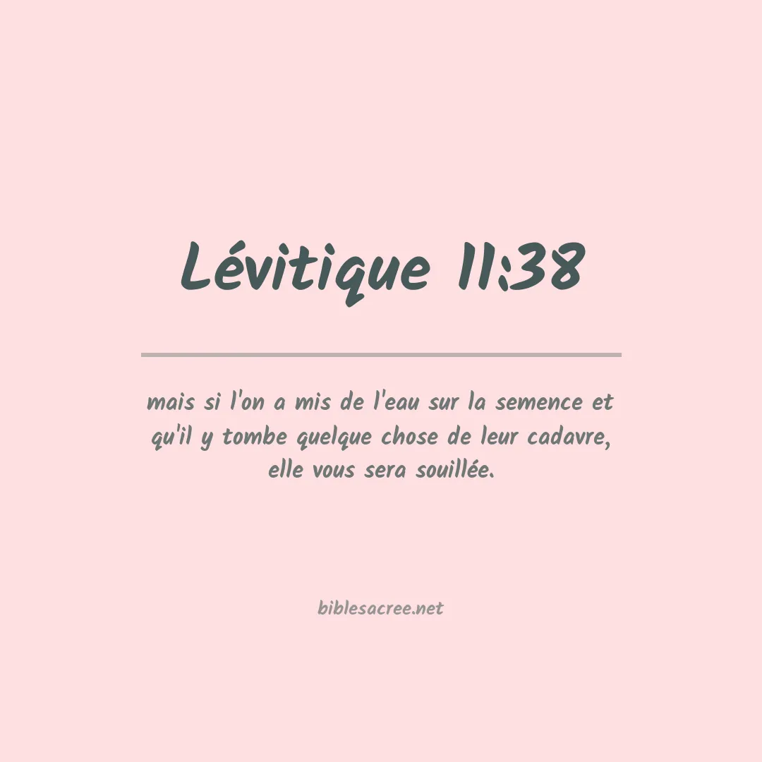 Lévitique - 11:38