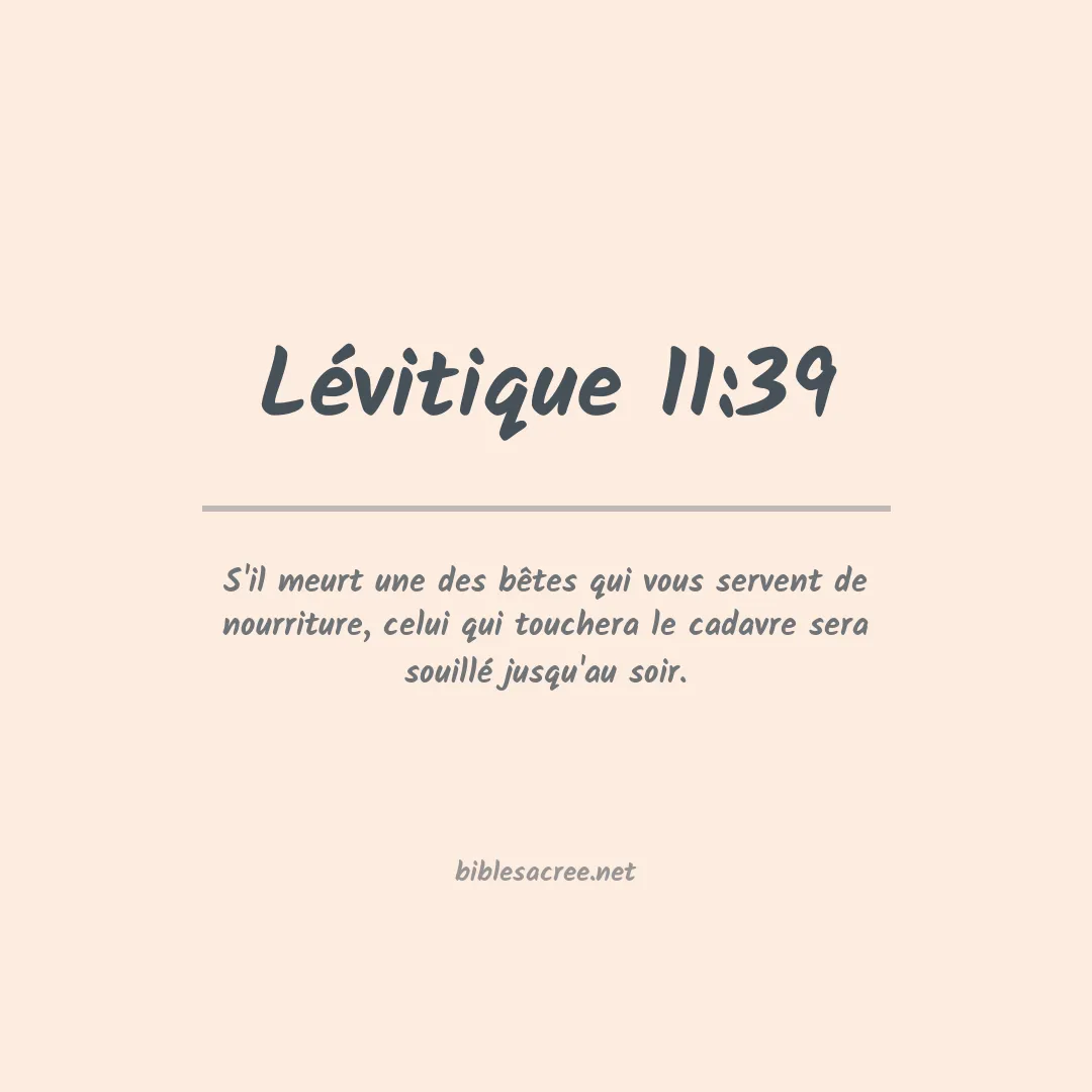 Lévitique - 11:39