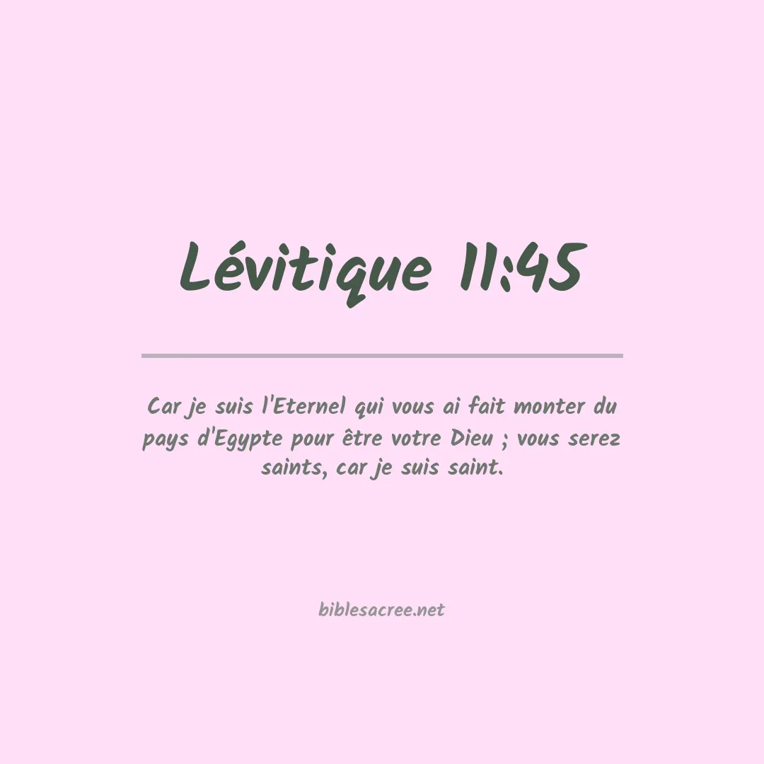 Lévitique - 11:45