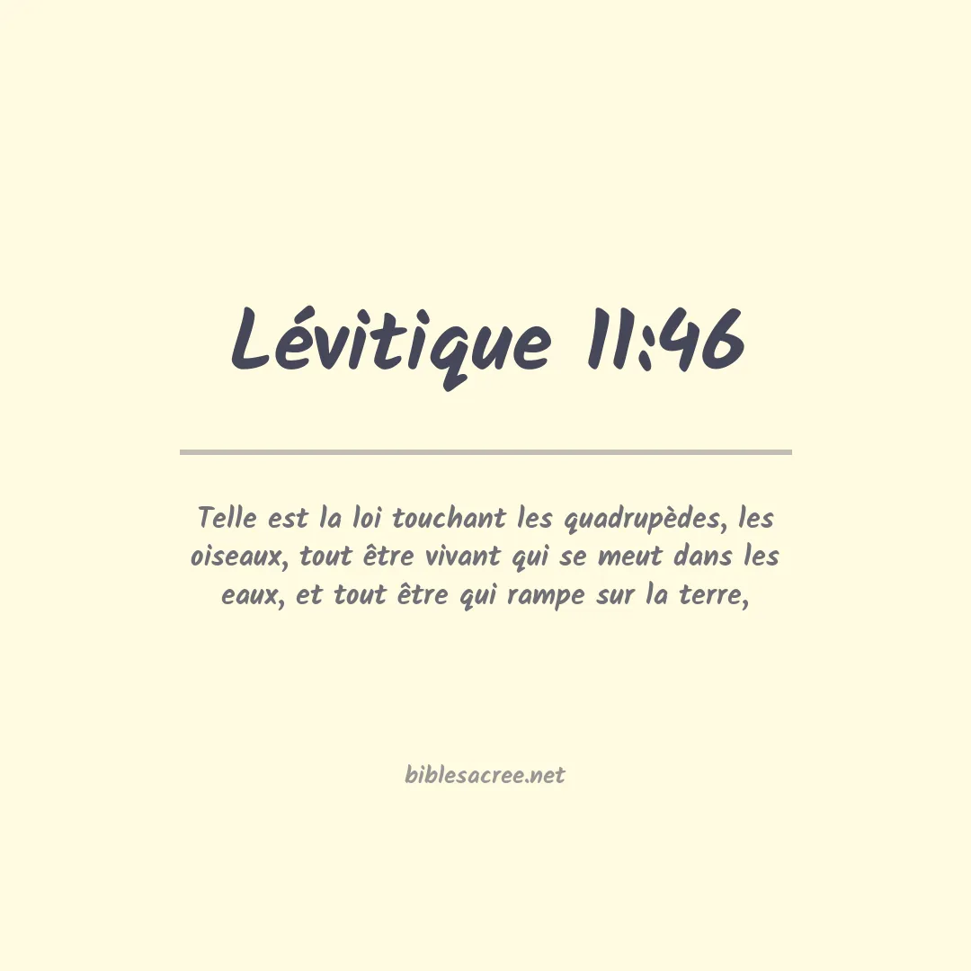 Lévitique - 11:46