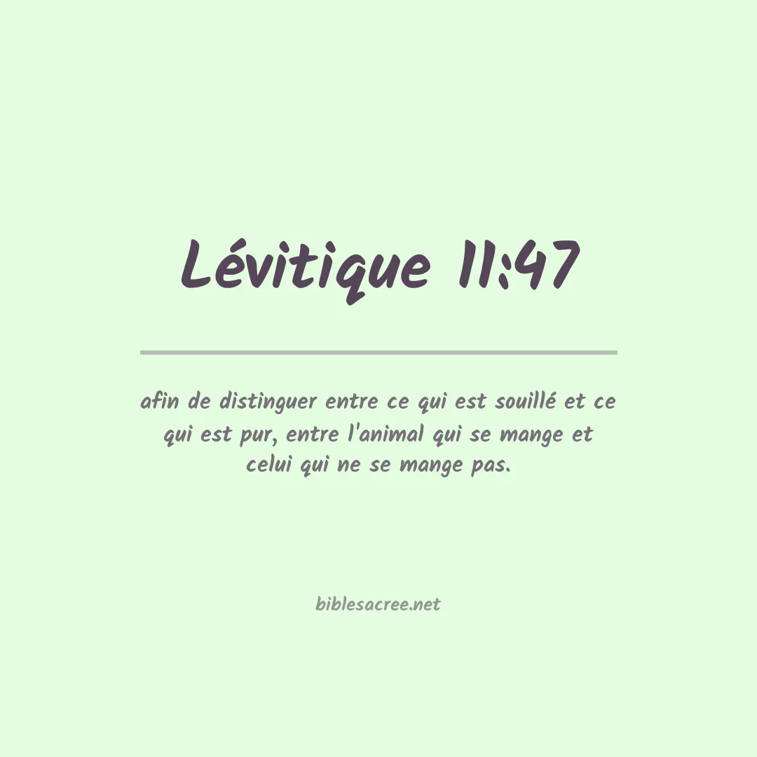 Lévitique - 11:47