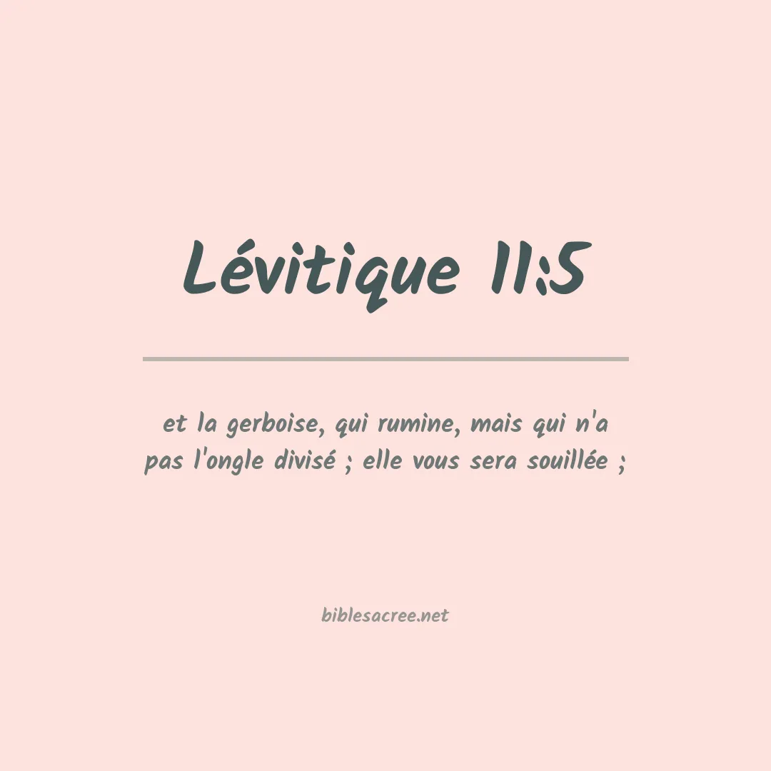 Lévitique - 11:5