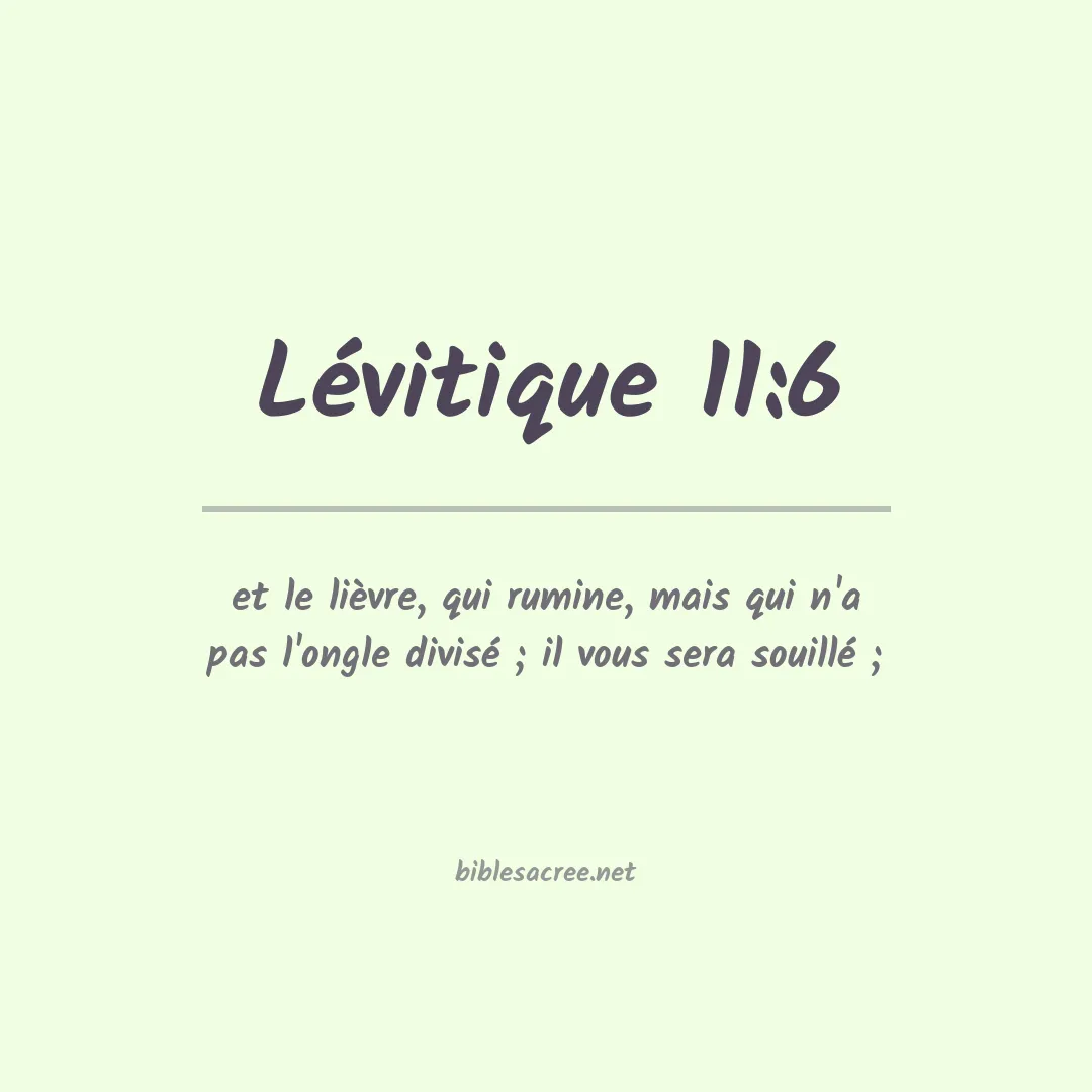 Lévitique - 11:6
