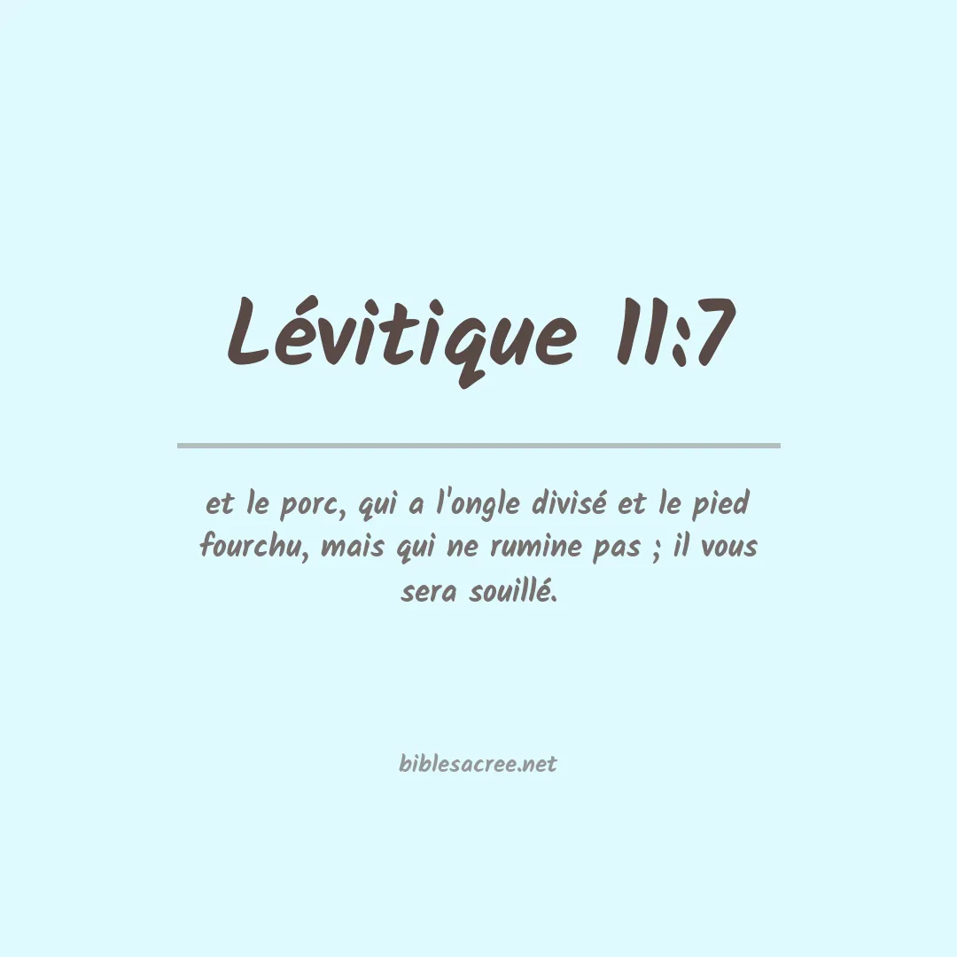 Lévitique - 11:7