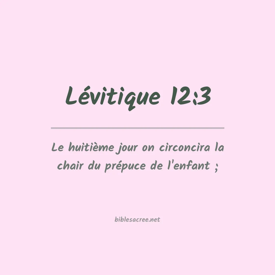 Lévitique - 12:3