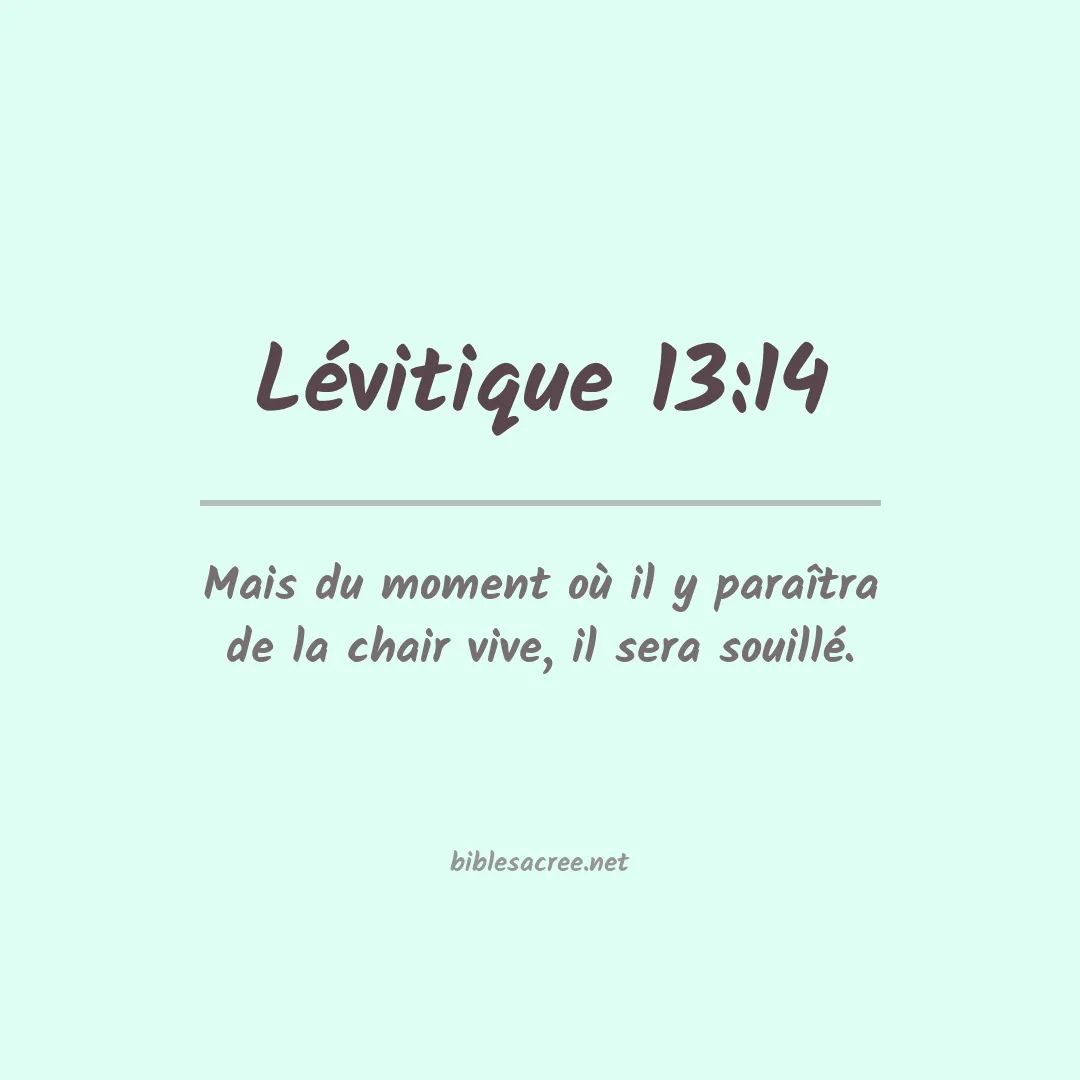 Lévitique - 13:14