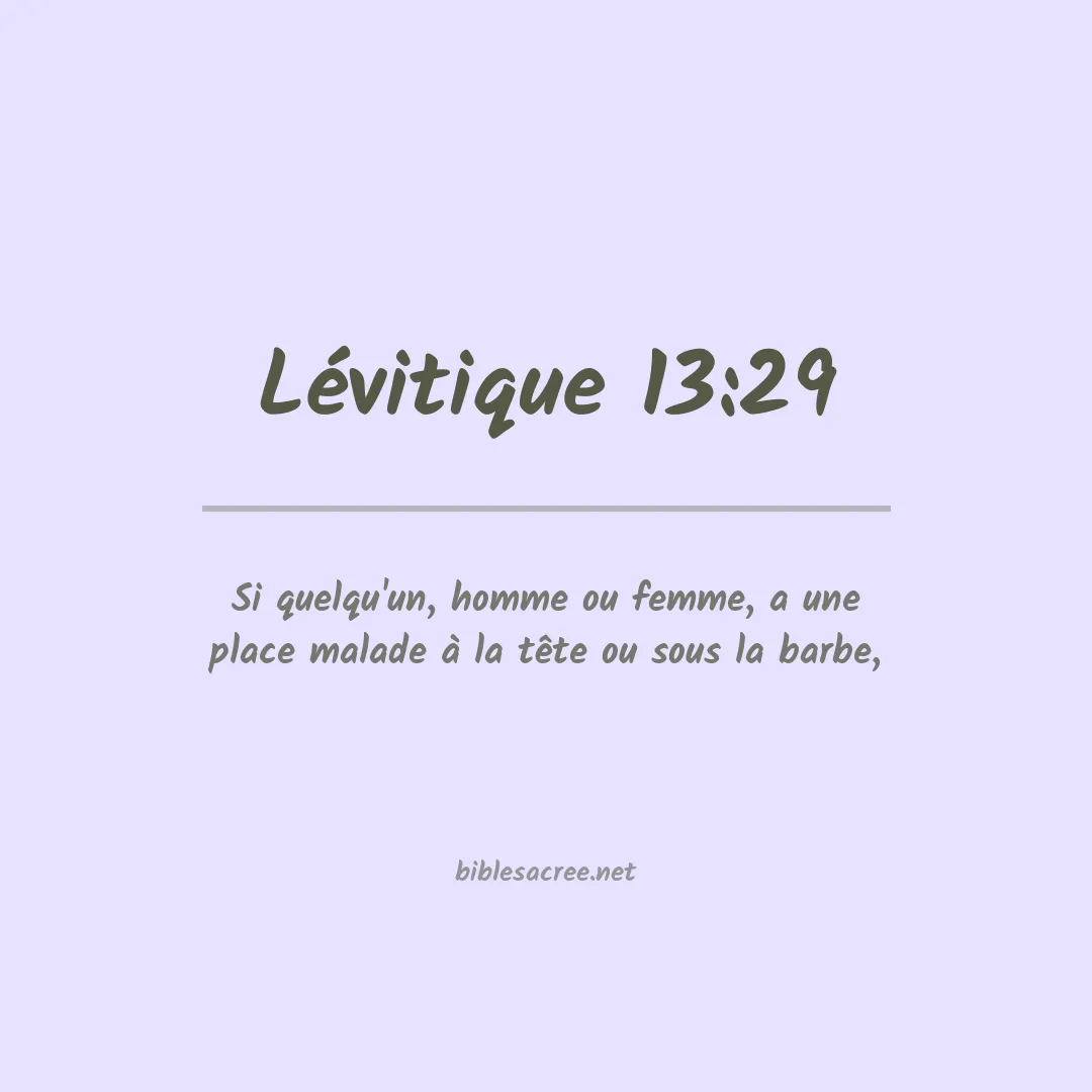 Lévitique - 13:29