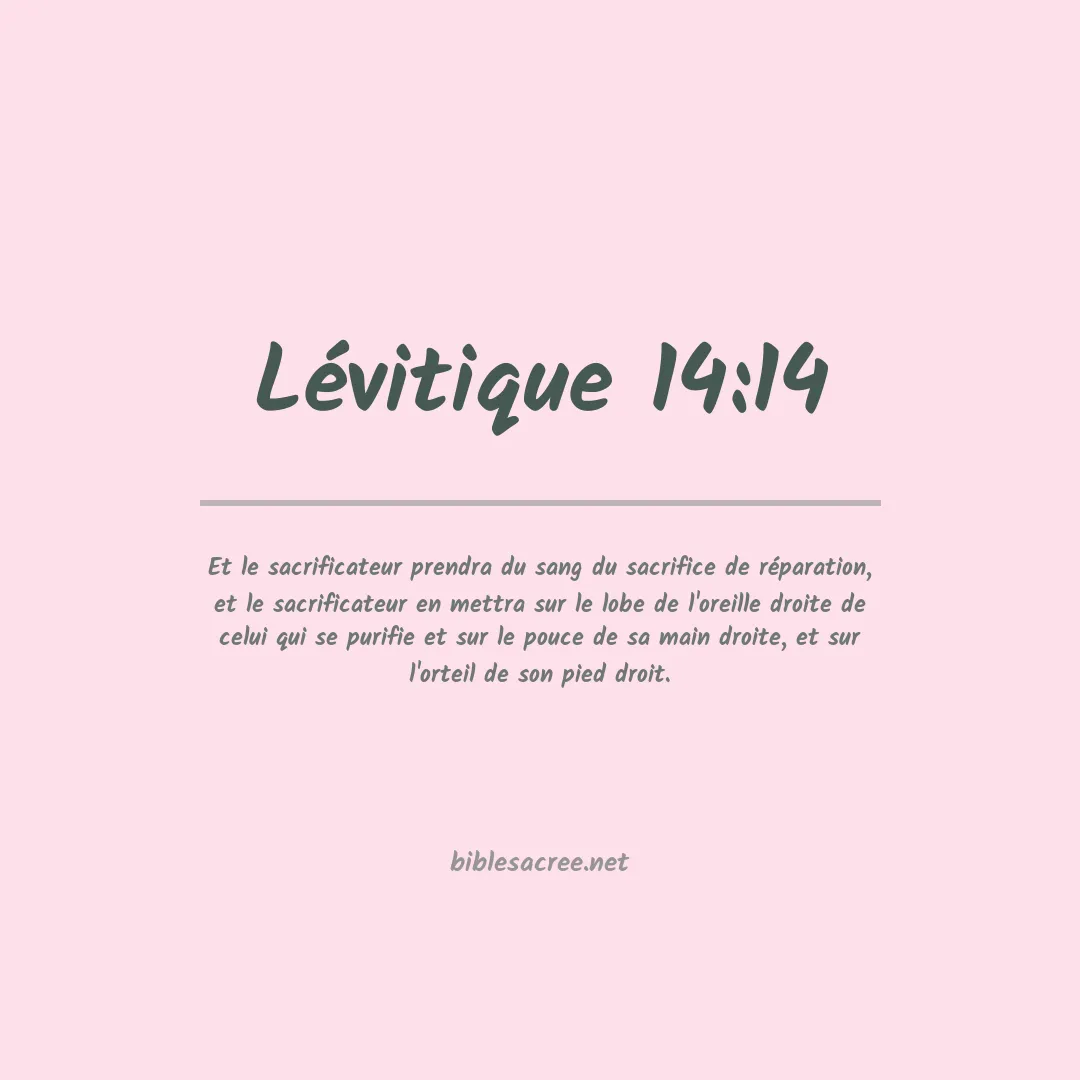 Lévitique - 14:14