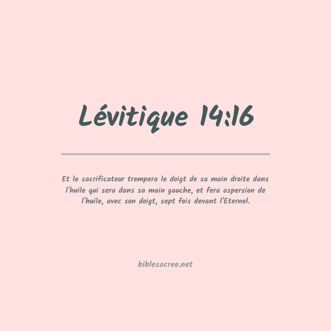 Lévitique - 14:16