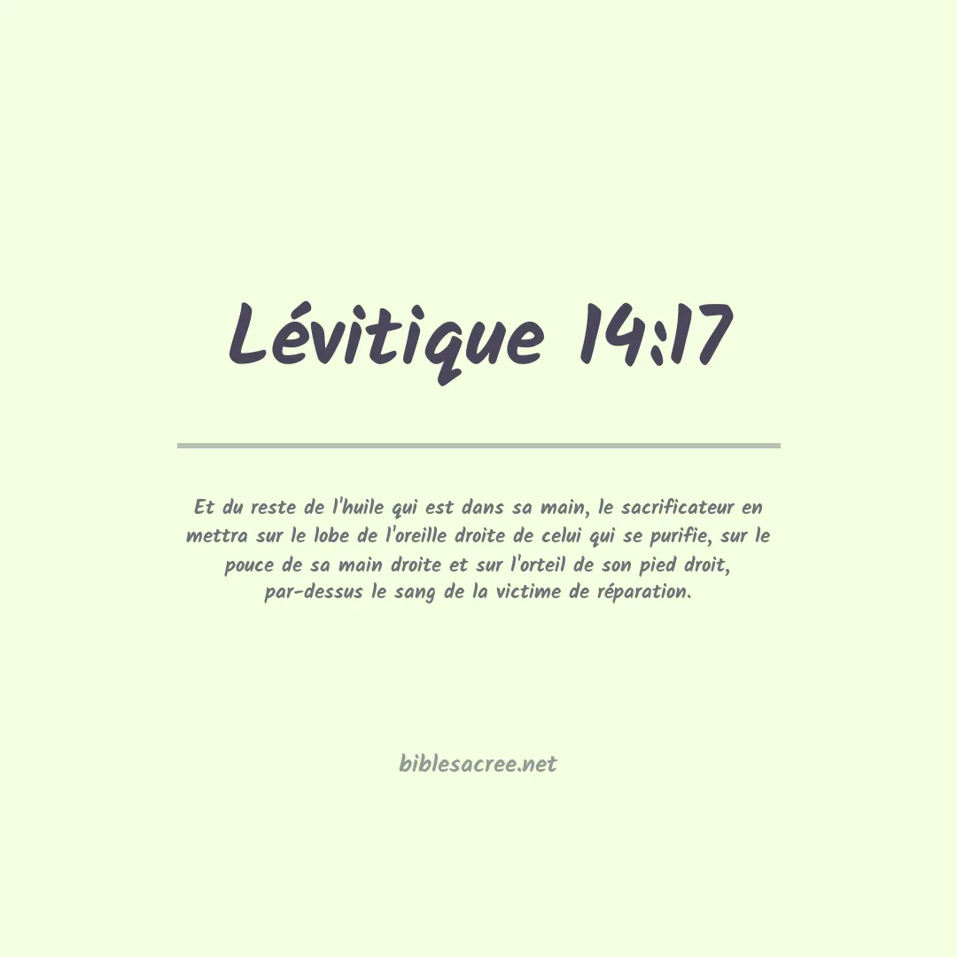 Lévitique - 14:17