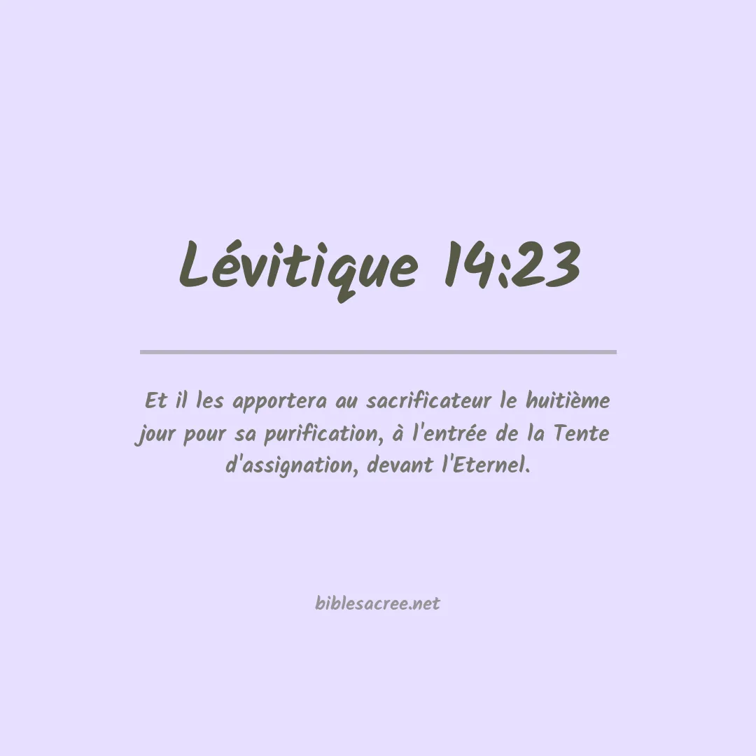 Lévitique - 14:23