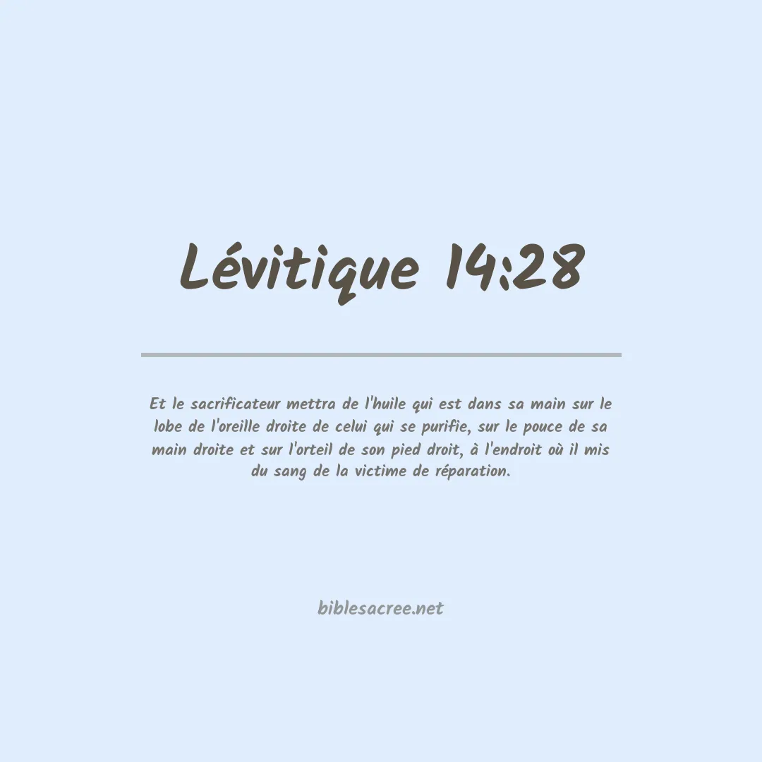 Lévitique - 14:28