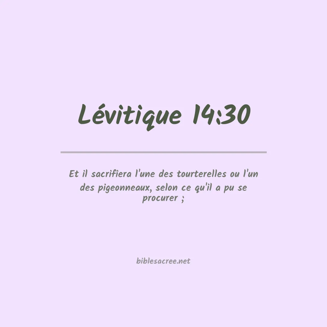 Lévitique - 14:30