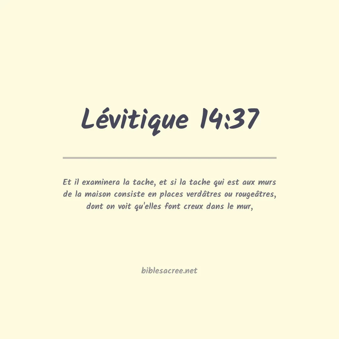 Lévitique - 14:37