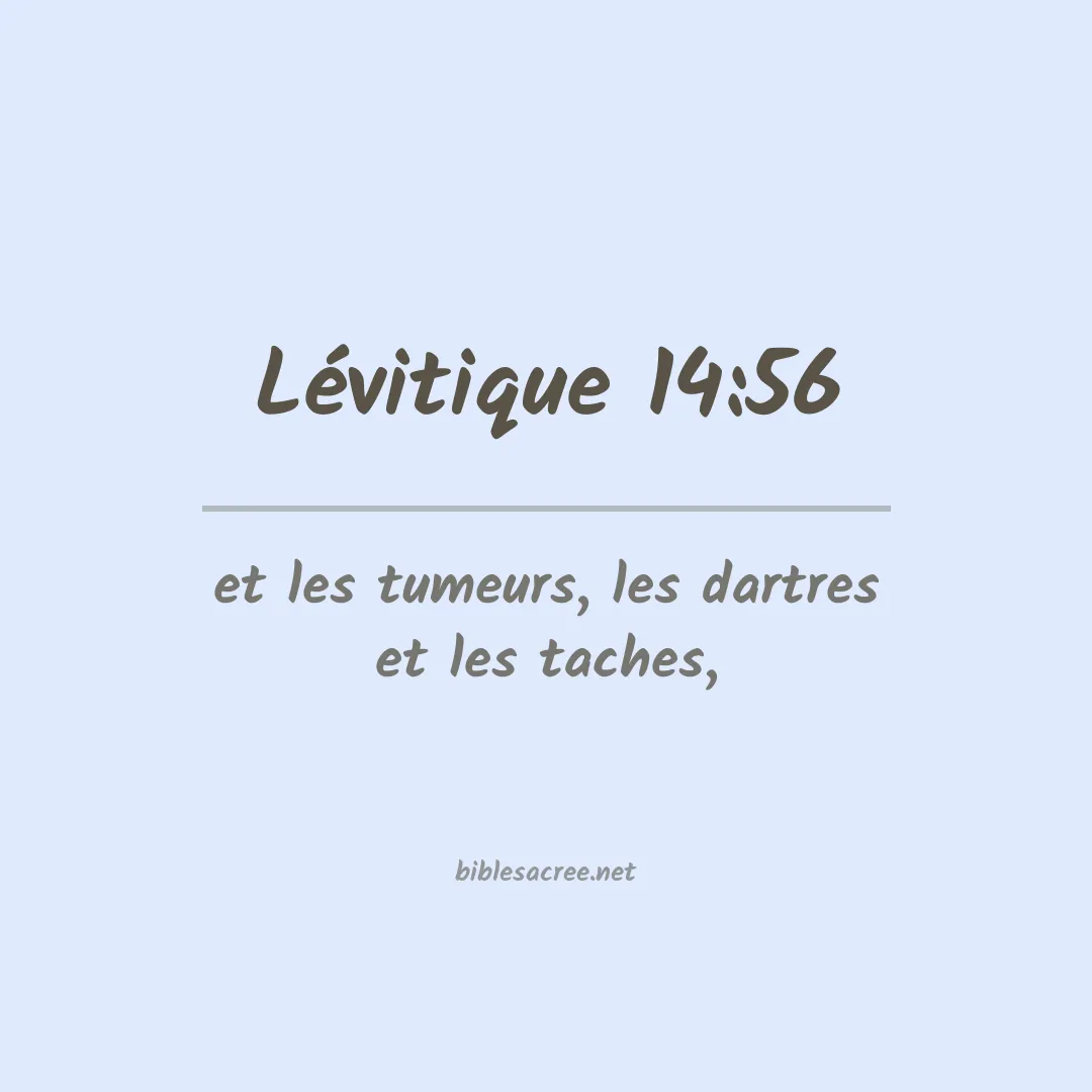 Lévitique - 14:56