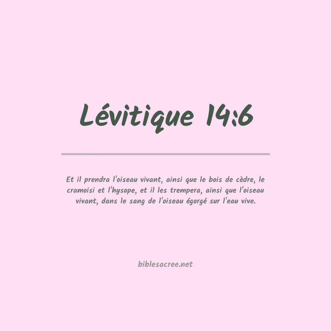 Lévitique - 14:6
