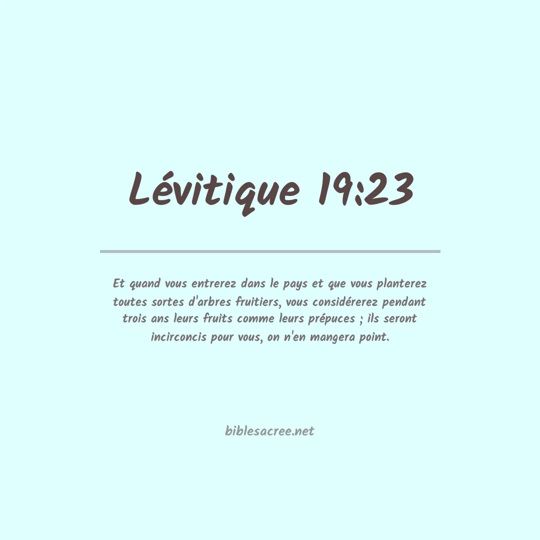 Lévitique - 19:23