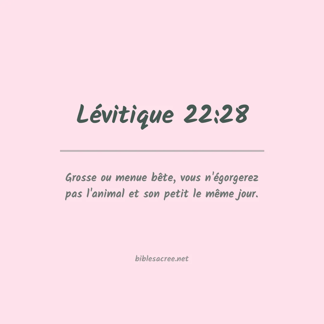 Lévitique - 22:28