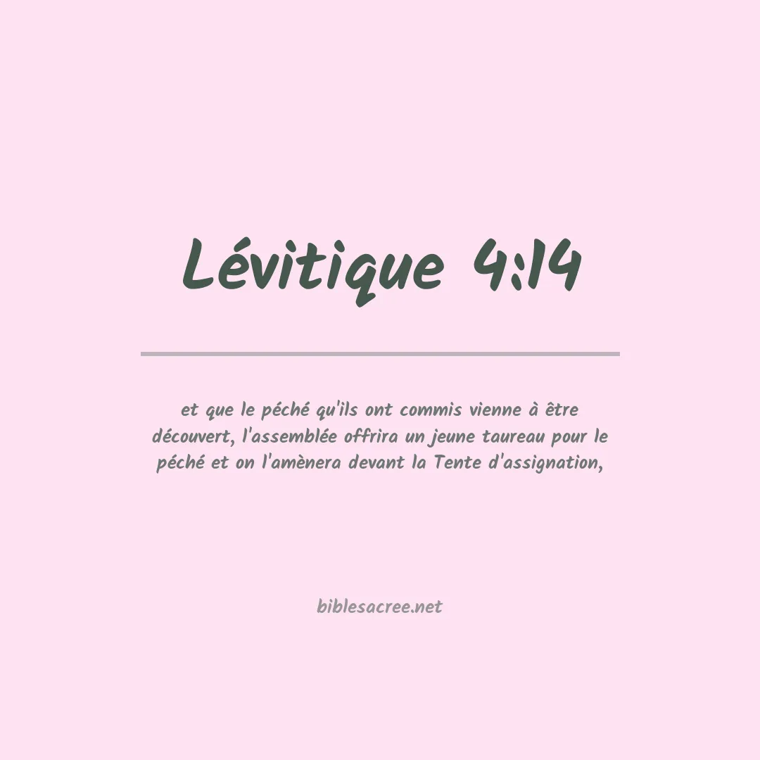 Lévitique - 4:14