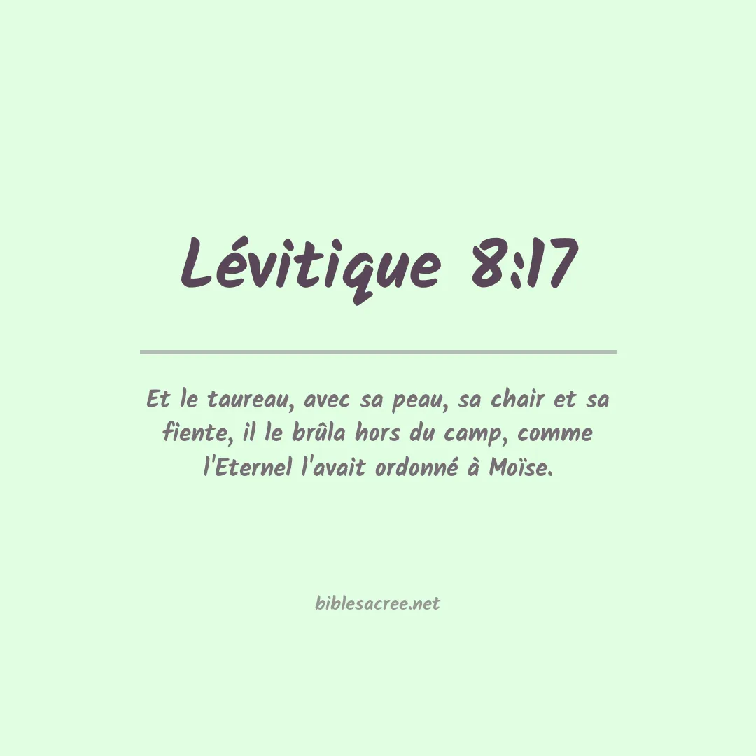 Lévitique - 8:17