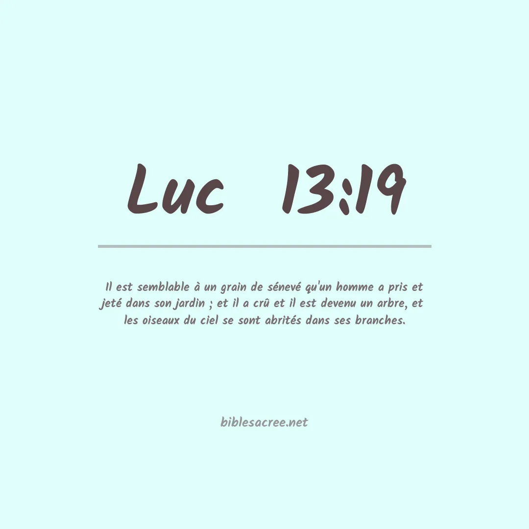 Luc  - 13:19