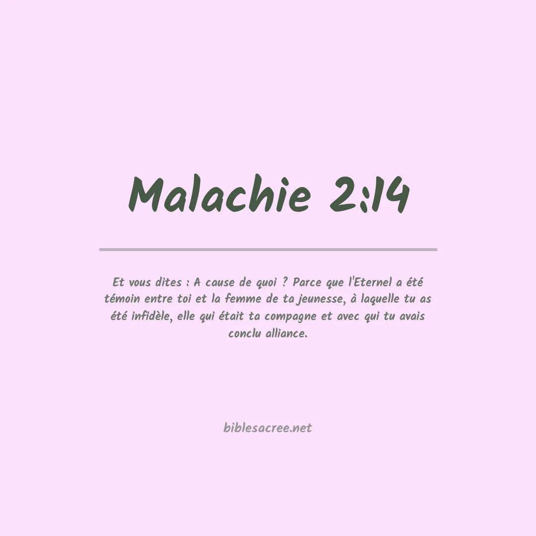 Malachie - 2:14