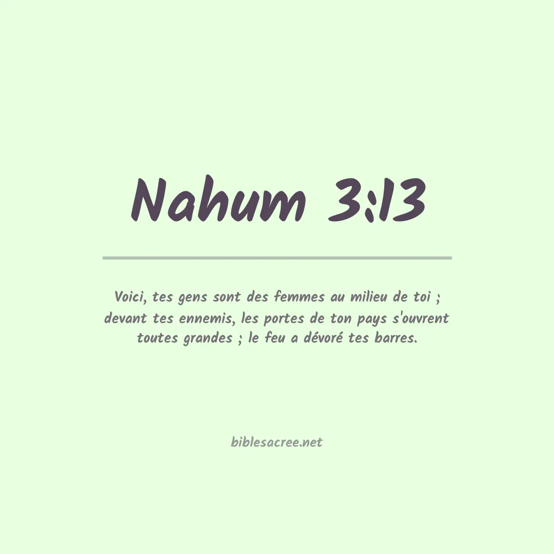 Nahum - 3:13
