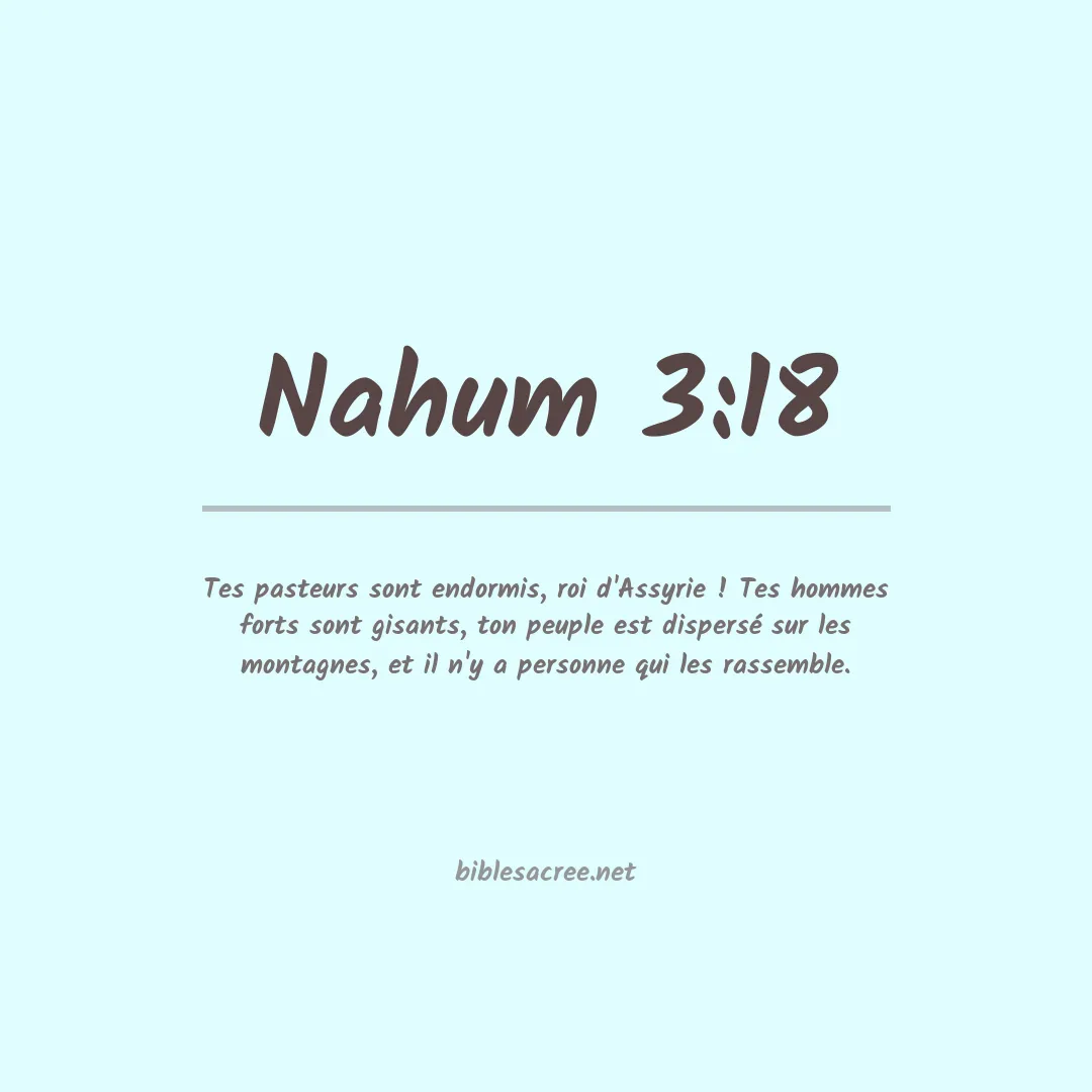 Nahum - 3:18