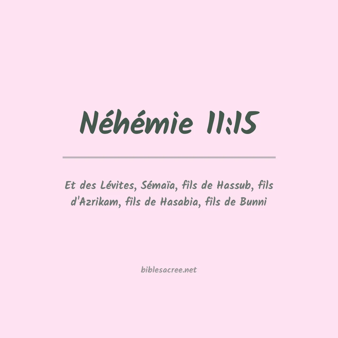 Néhémie - 11:15