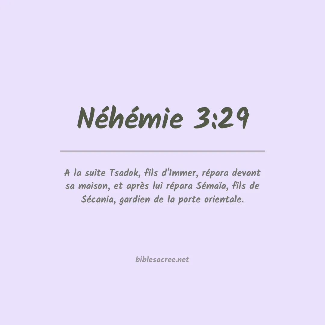 Néhémie - 3:29